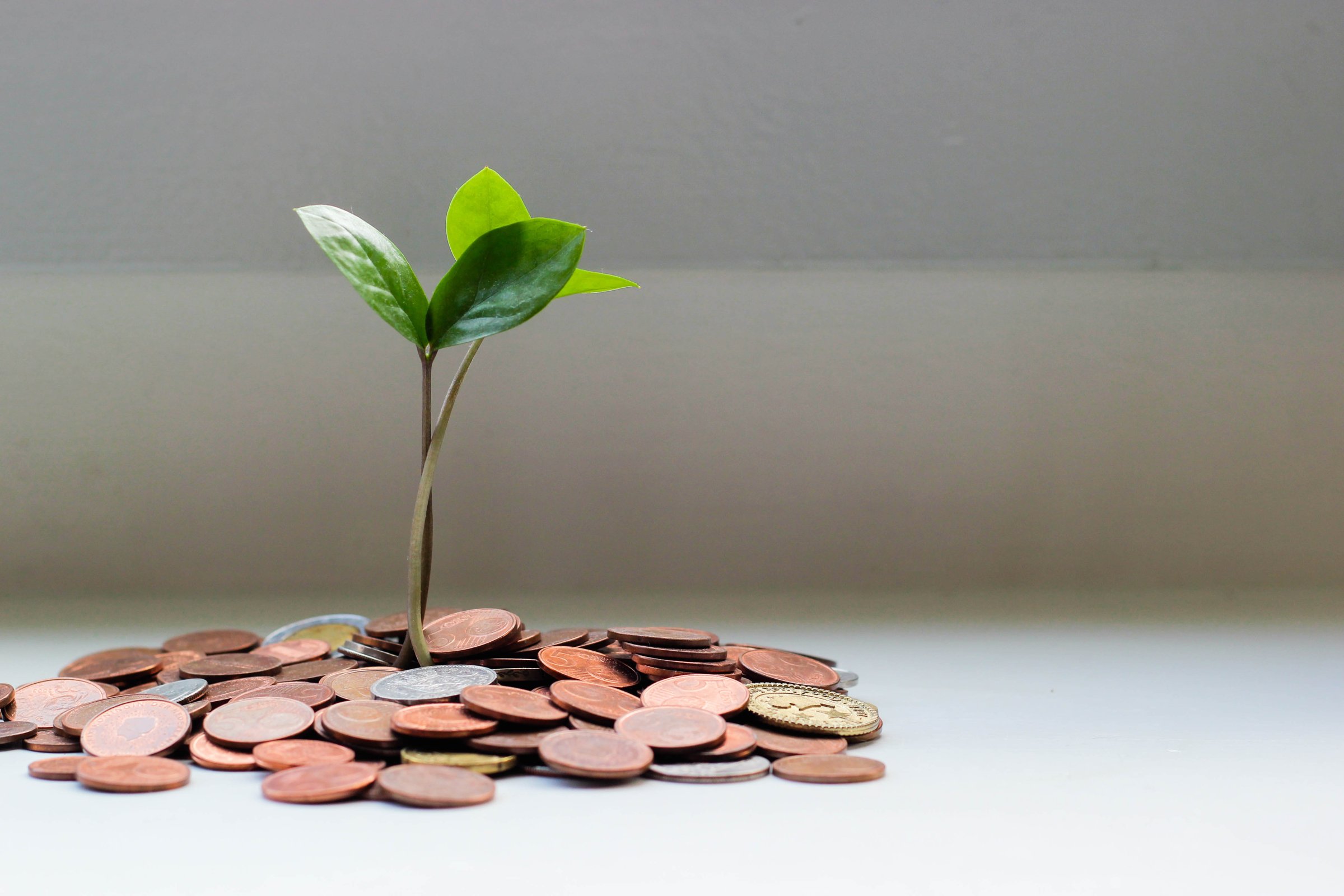 Financial planning